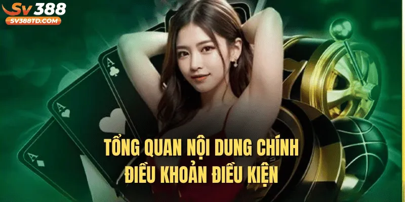 Người Chơi Tuân Thủ Điều Khoản Điều Kiện SV388
